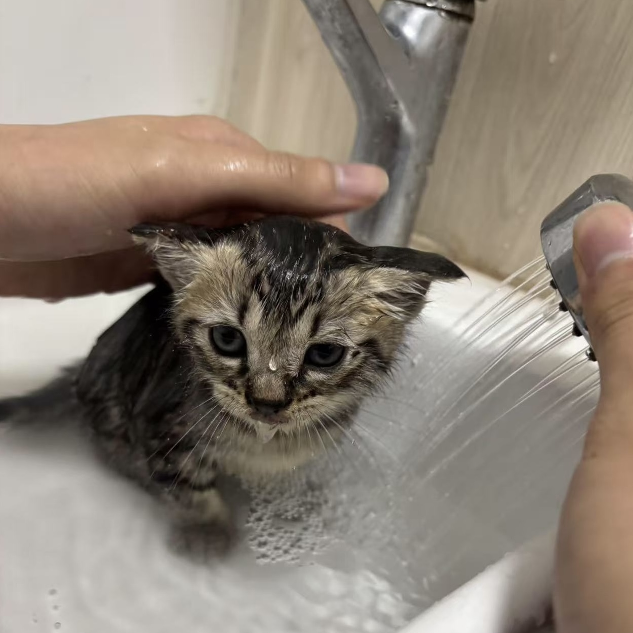 Deedee taking her first shower